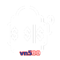 vn500