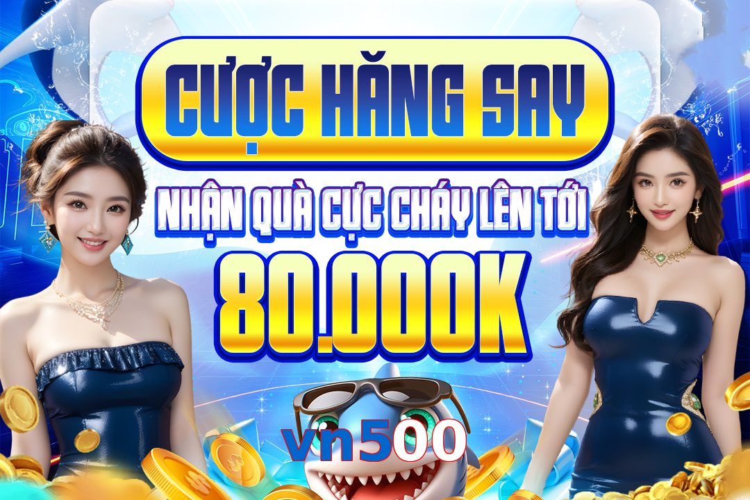 vn500