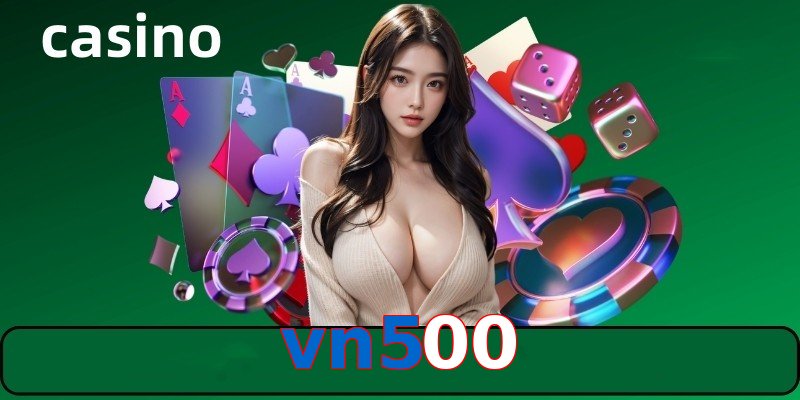 vn500